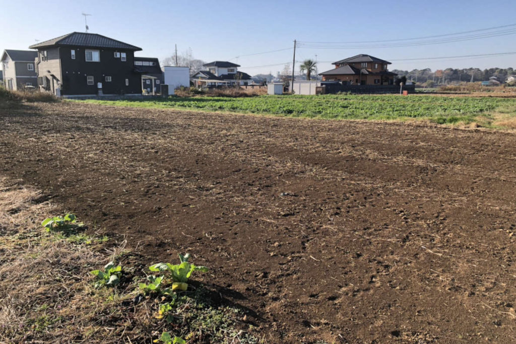 ドローンでクローバー播種