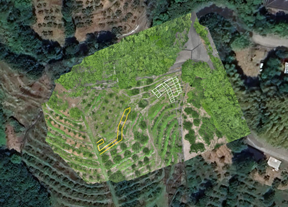 カンキツ圃場ドローン農薬散布_03
