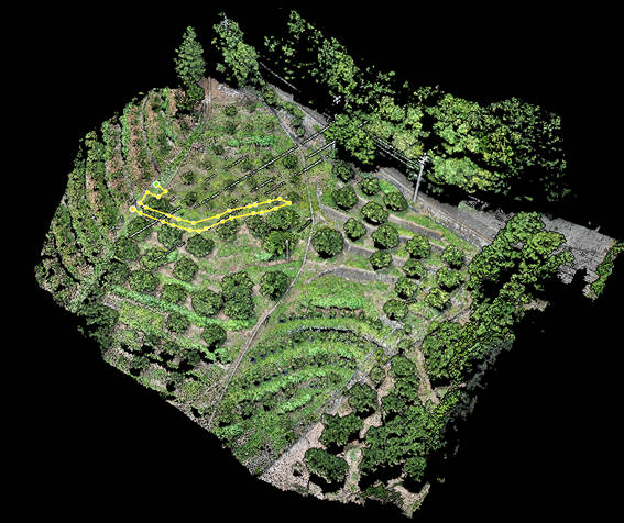 カンキツ圃場ドローン農薬散布_04