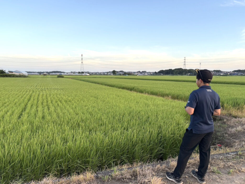 kashima-drone-spraying-field_02