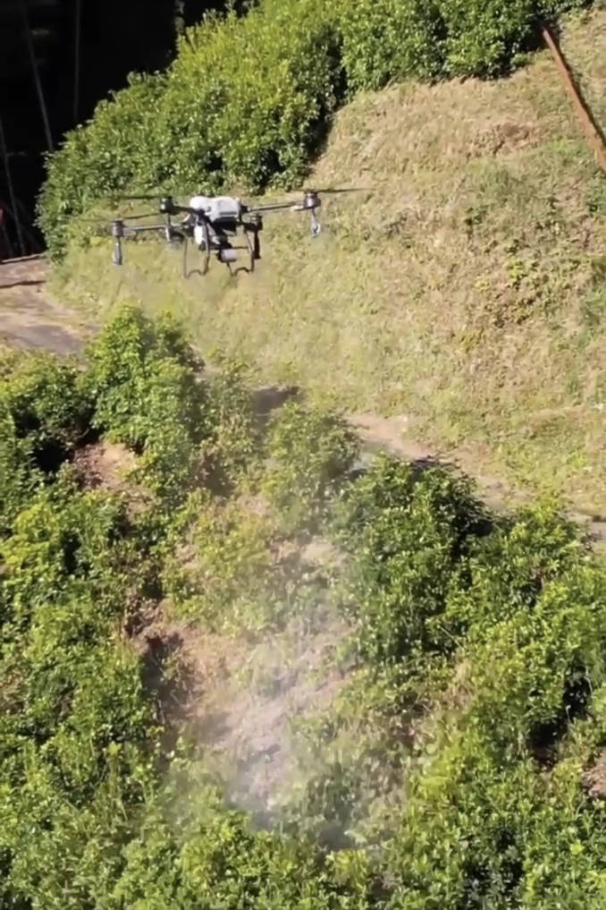 agri-drone-soramo_05_shikimi-sakaki-spraying-wide_s